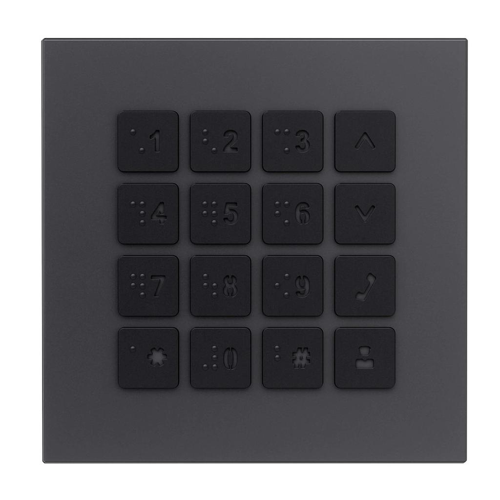 GOLIATH Hybrid IP &amp; 2-Draht Video Türsprechanlage | Keypad Modul | Blindenschrift | Beleuchtung